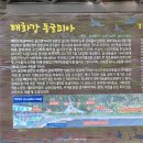 씨유 울산동굴피아점 | 울산 태화강 동굴피아 실내 여행지 추천