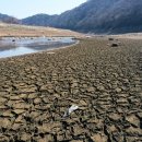 그냥 심심해서요. (26175) 이상기후 시달린 한반도 이미지