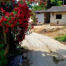 적가경로당 이미지