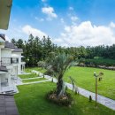 스파벨리스 이미지