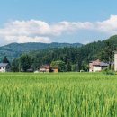 행복이발 이미지