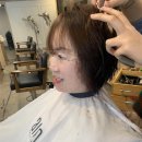 헤어마시멜로 이미지
