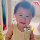 북사농장 네이버블로그