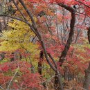 남해뜰펜션 이미지