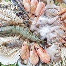 유진해물 이미지
