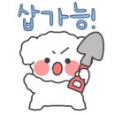 이로운 강아지 이미지