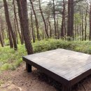 해오름 유아숲체험원 이미지