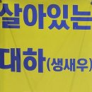 본대구막창조개구이 이미지