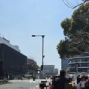 대명빌리지 버스승강장 | <일본 구마모토> 8. 사쿠라마치 쇼핑몰 - 몽벨, 스타벅스, 칼디, 다이소, 쿠마몬빌리지, 쿠마몬상 등