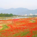 광의사거리 이미지