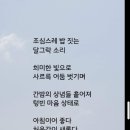 창밖에 새소리 들려온다. 이미지