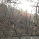 진전면927 이미지