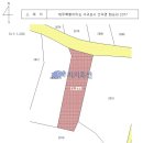 서귀포시 안덕면 화순리 사계택지개발지구 인근 임야 1,230평 - 제주부동산 서귀포 토지 경매 이미지