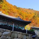 황골공원 이미지