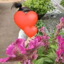 신도림3차푸르지오 | 신도림 푸르지오 1차, 102, 103, 104 동별 장단점