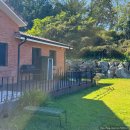 스테이상아 이미지