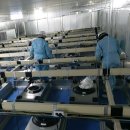 넘버원크린 이미지