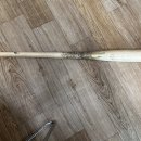 한동희 실사 오버플라이 배트 이미지