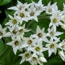 서울송화초등학교 이미지