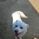 오동마을~무룡고개 | 2022년 2월 25일(금) 힐링센터 미미네 방문 후기