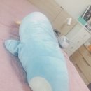 대왕세탁 이미지