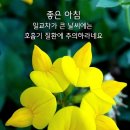 12월 2일 (토요일) 아침인사~ 이미지