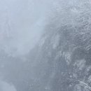 낙농장 | 모리노료테이/ 흰수염폭포/ 준페이/ 비에이 방목 낙농장/ 탁신관/ senya/ 닝구르테라스/ 신후라노프린스...