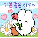 오혜숙 생활단식&더뷰티&정경지사 네이버블로그