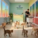 DOG.(독점) | 🐶 애견미용실 사장님이라면!이제 네이버 말고 구글 광고 해야 할 때입니다.