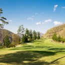 써미트CC 이미지