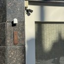(주)녹색사람들 | 대전 대흥동 카페 소슬, 녹색식물이 가득한 카페