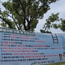 여성가족공원 물놀이장 | 대구북구 함지공원 물놀이장! 무료 가족 물놀이 천국