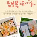 야간)꽃과 원예 이미지