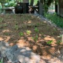 김도현목장 이미지