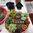 진교중학교 이미지