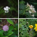 논현포대 이미지