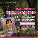 알리앙스빵집 | 프랑스 워킹홀리데이 리옹 어학원 솔직 후기 : DELF합격부터 에꼴 뒤카스 ENSP 제과학사 입학까지