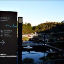 천지연로 이미지