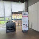 대관령800마을 코지하우스 | 강릉여행 강아지동반가능 대관령 순수양떼목장 강추!