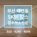 엘리제빌리지오피스텔 앞 | #155 부산 대연동 SK뷰 힐스 아파트 입주청소 후기 및 가격