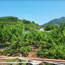 영부농장 이미지