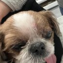 청라호수동물메디컬센터 이미지