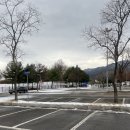 대공원 동물병원 | 과천 아이랑 무료 갈만한곳 국립과천과학관 유아체험관 예약 방법 푸드코트 수유실 후기