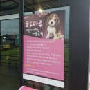 호두마루애견카페