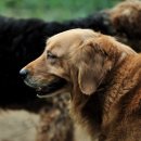 대하농장 이미지