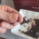 차전자피 가르시니아 변비해결 윤오헬시 참진 바로환 다이어트
