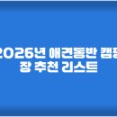 랩도그빌 | 2026년 애견동반 캠핑장 추천 리스트