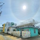 제주북초등학교 | 오마이뉴스 31번째 채택! 제주 김영수도서관 방문 기사 후기