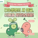 DB 이미지