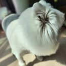 그루멍 프렌즈 이미지